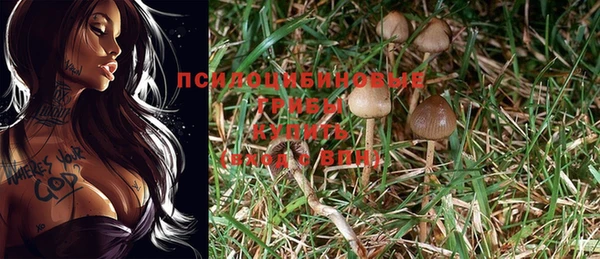 кокс Мегион