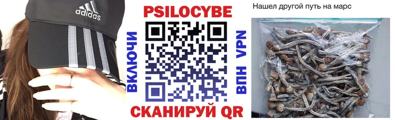 Псилоцибиновые грибы мухоморы  Купить закладки  Кемь 